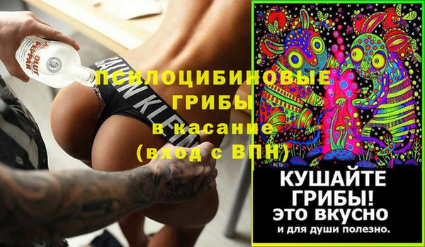 бошки Вяземский