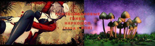 бошки Вяземский