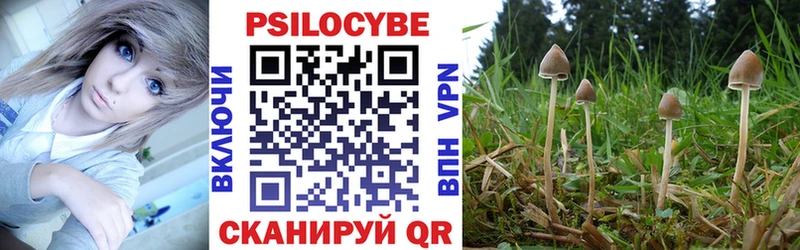blacksprut маркетплейс  Десногорск  Галлюциногенные грибы MAGIC MUSHROOMS 