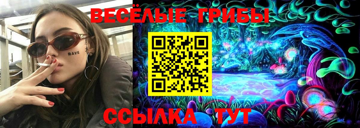 Галлюциногенные грибы мицелий  Десногорск  Псилоцибиновые грибы прущие грибы 