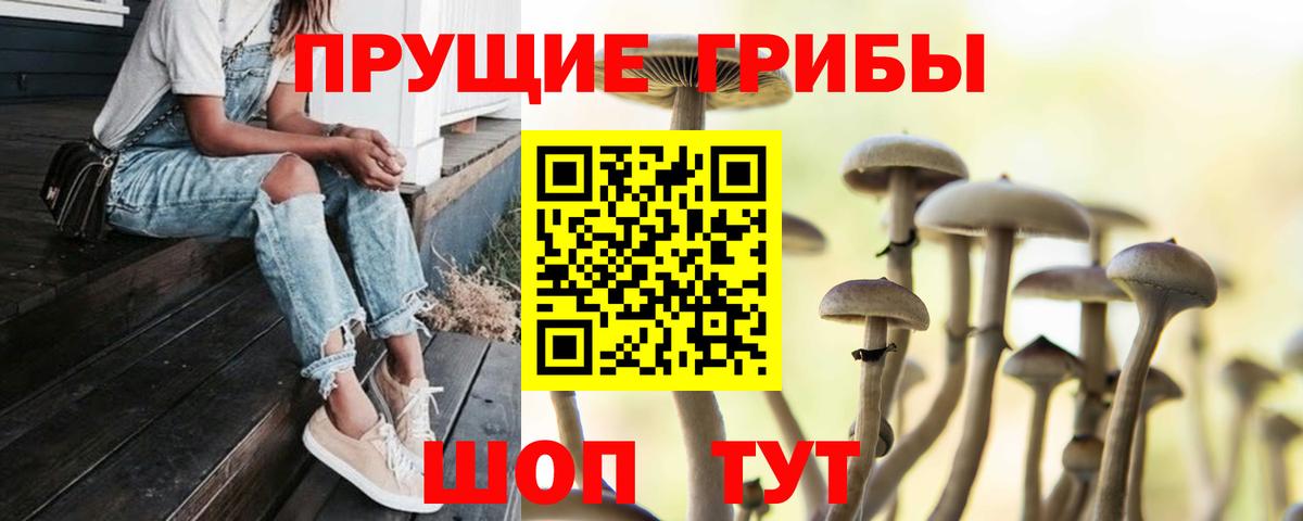 как найти закладки  Псилоцибиновые грибы ЛСД  Вход с VPN  Десногорск 